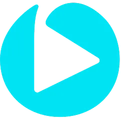 Post payment to Accounts Payable