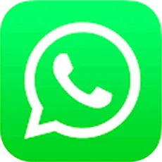 Send a file on Whatsapp